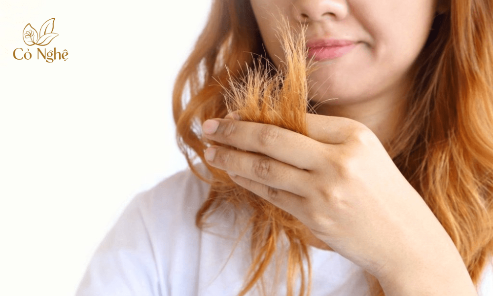 Tóc nhuộm và tóc hư tổn