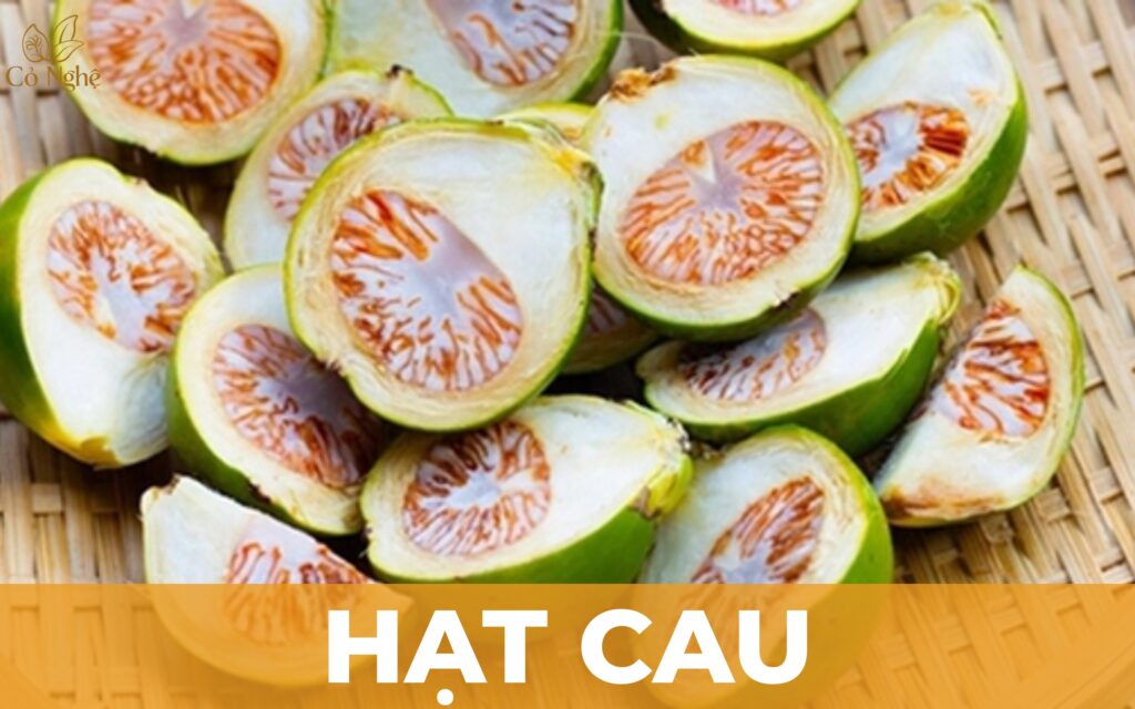 hat-cau-lam-sach-mang-bam