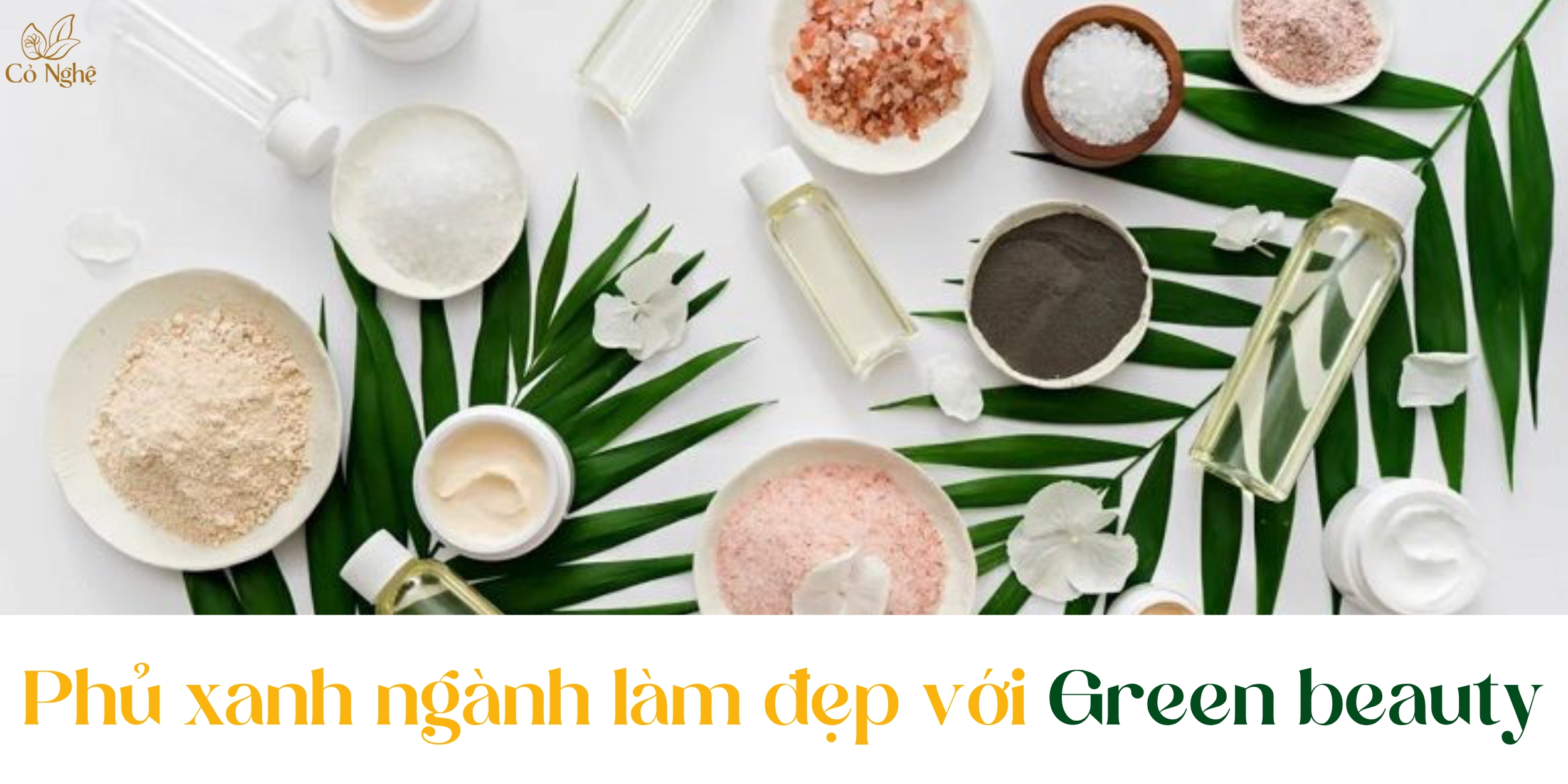 phu-xanh-nganh-lam-dep-voi-green-beauty