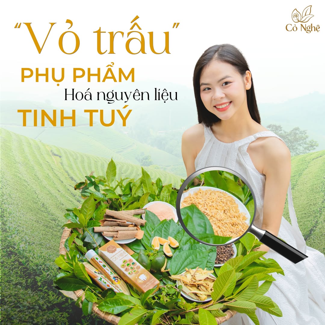 chiet-xuat-silica-nano-tu-vo-trau-giup-lam-sach-sau