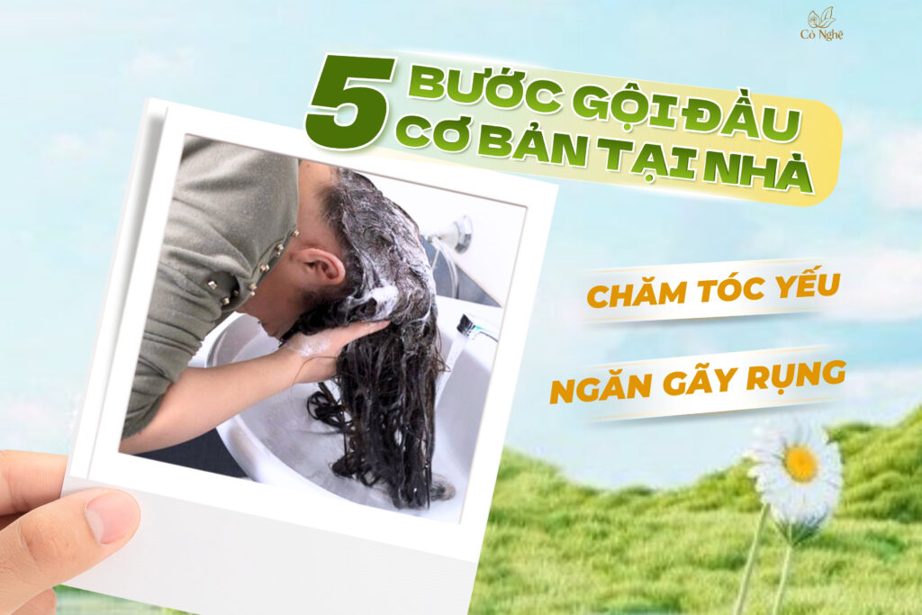 5-buoc-goi-dau-co-ban-tai-nha-de-cham-toc-yeu-ngan-rung-toc